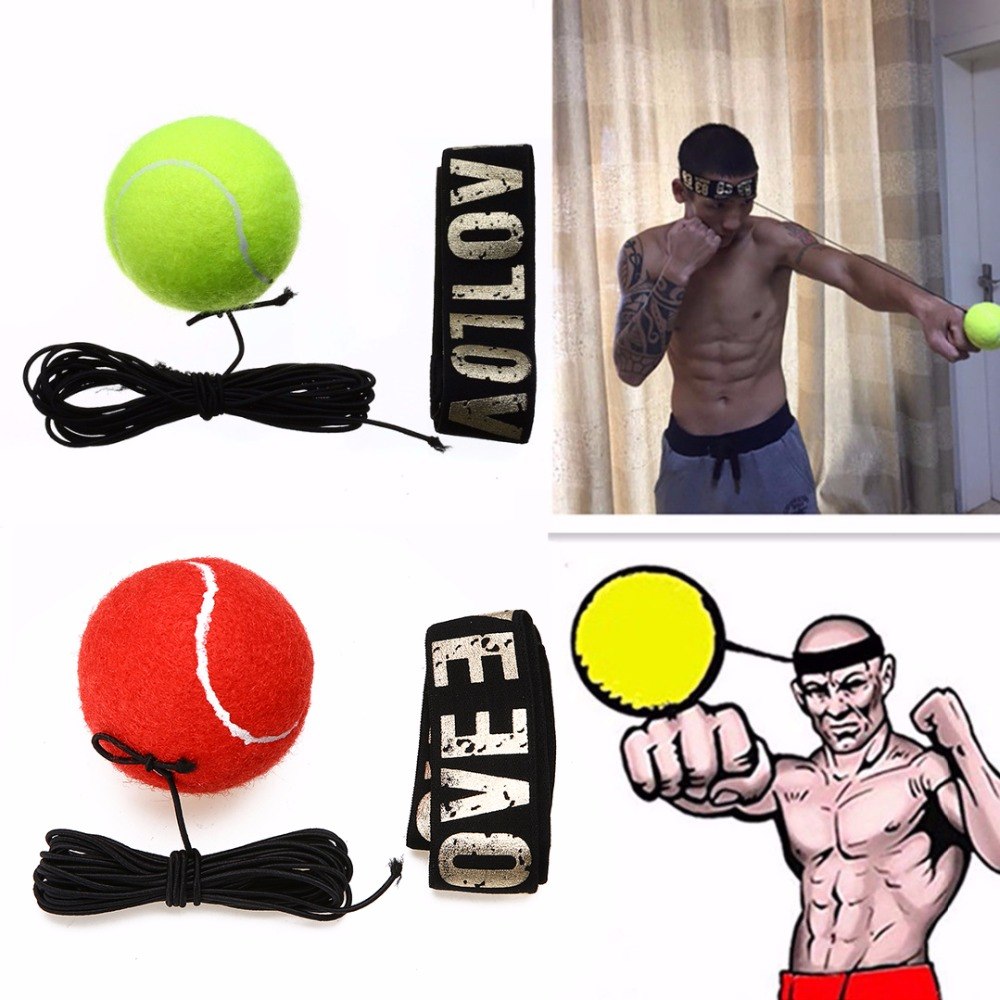 Boxreflex Speed Punch Ball